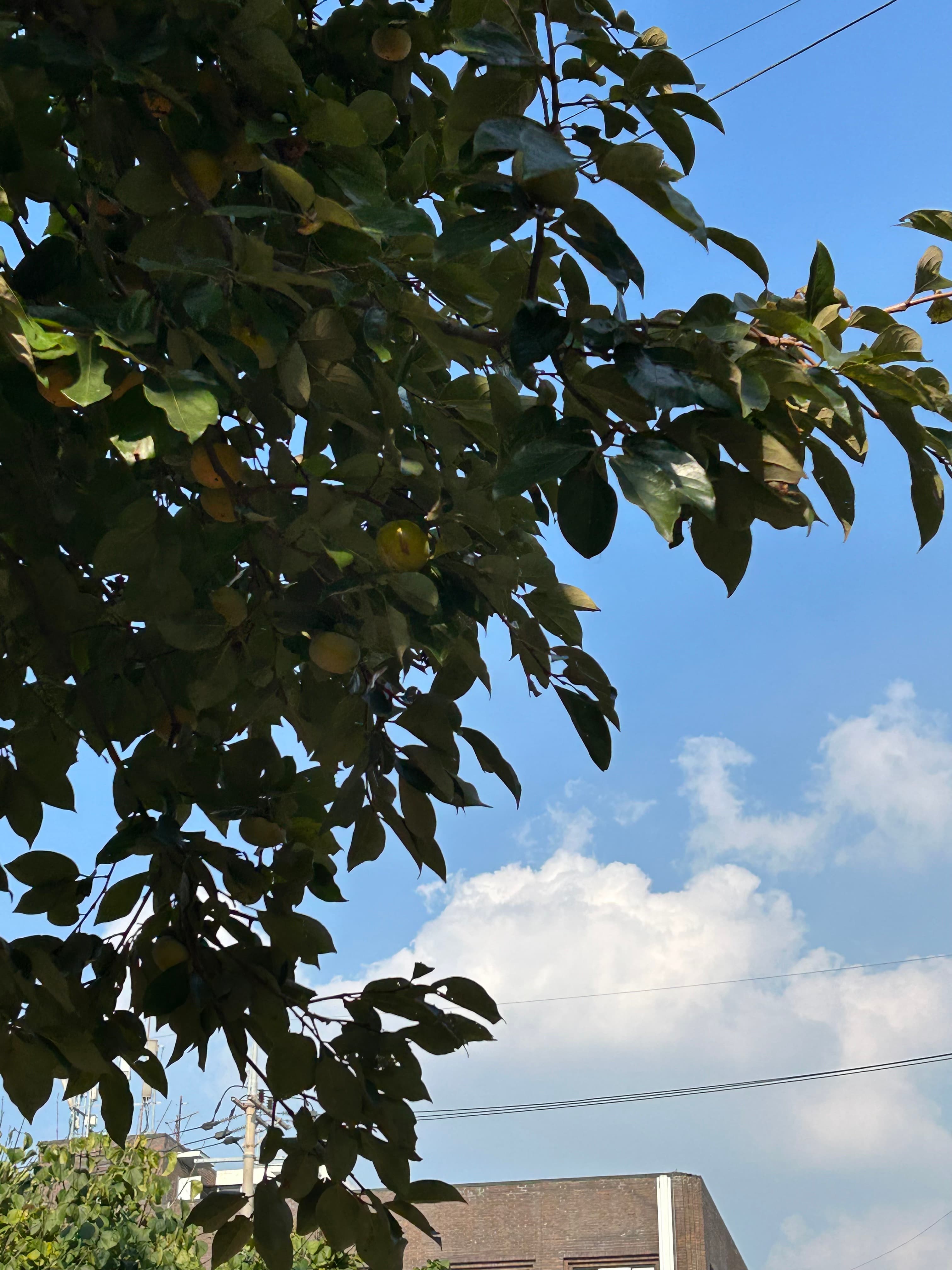 스튜디오 사진